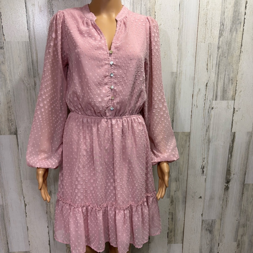 Staccato Sheer‎ Chiffon Raised Dot Dress